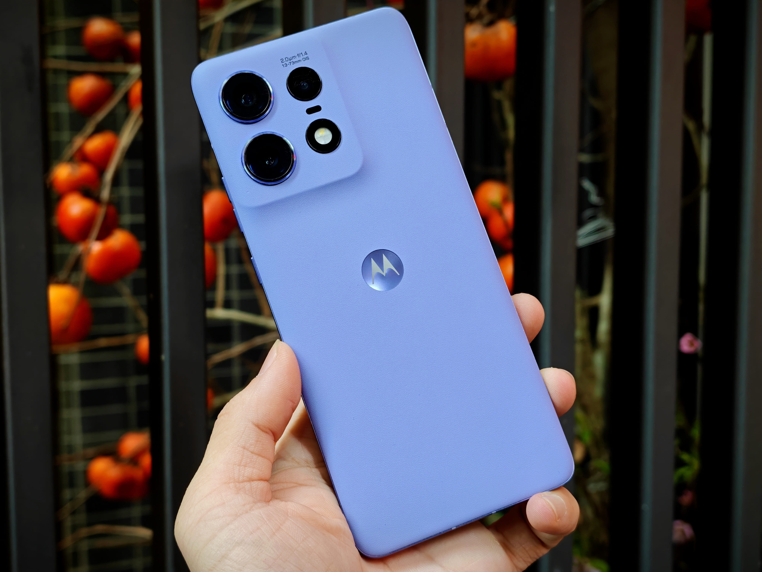 IMG_20260108_095143_1767841183207edit(1)