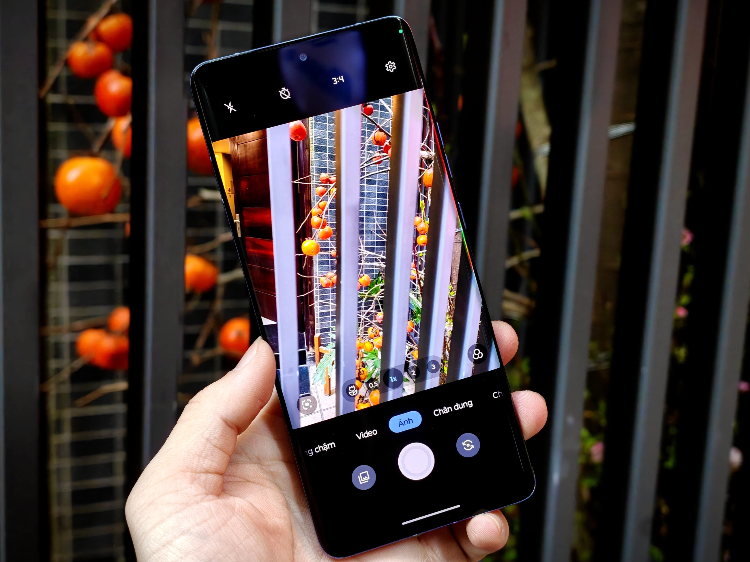 IMG_20260108_095228_1767841192016edit(1)