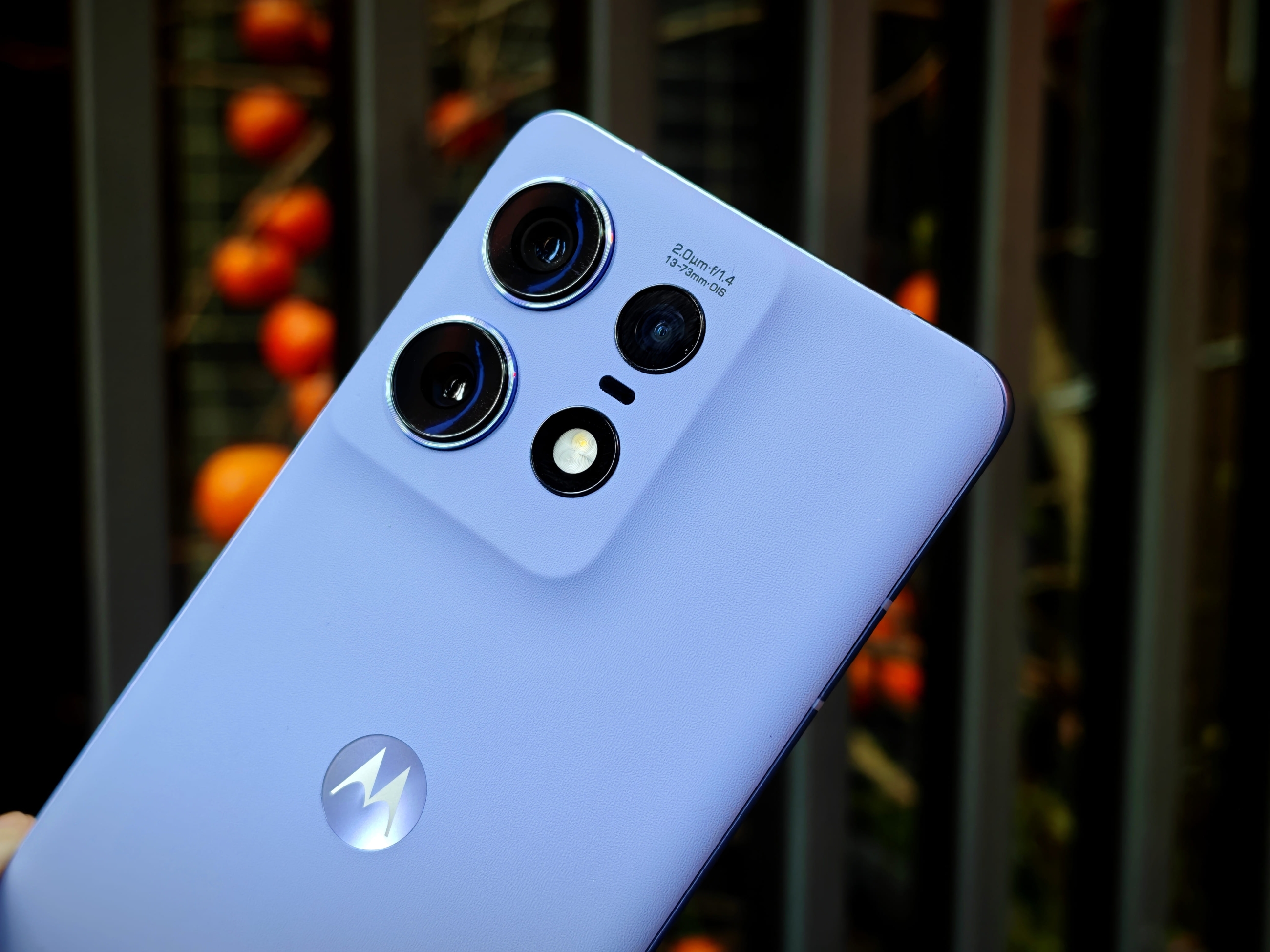 IMG_20260108_095403_1767841204251edit(1)