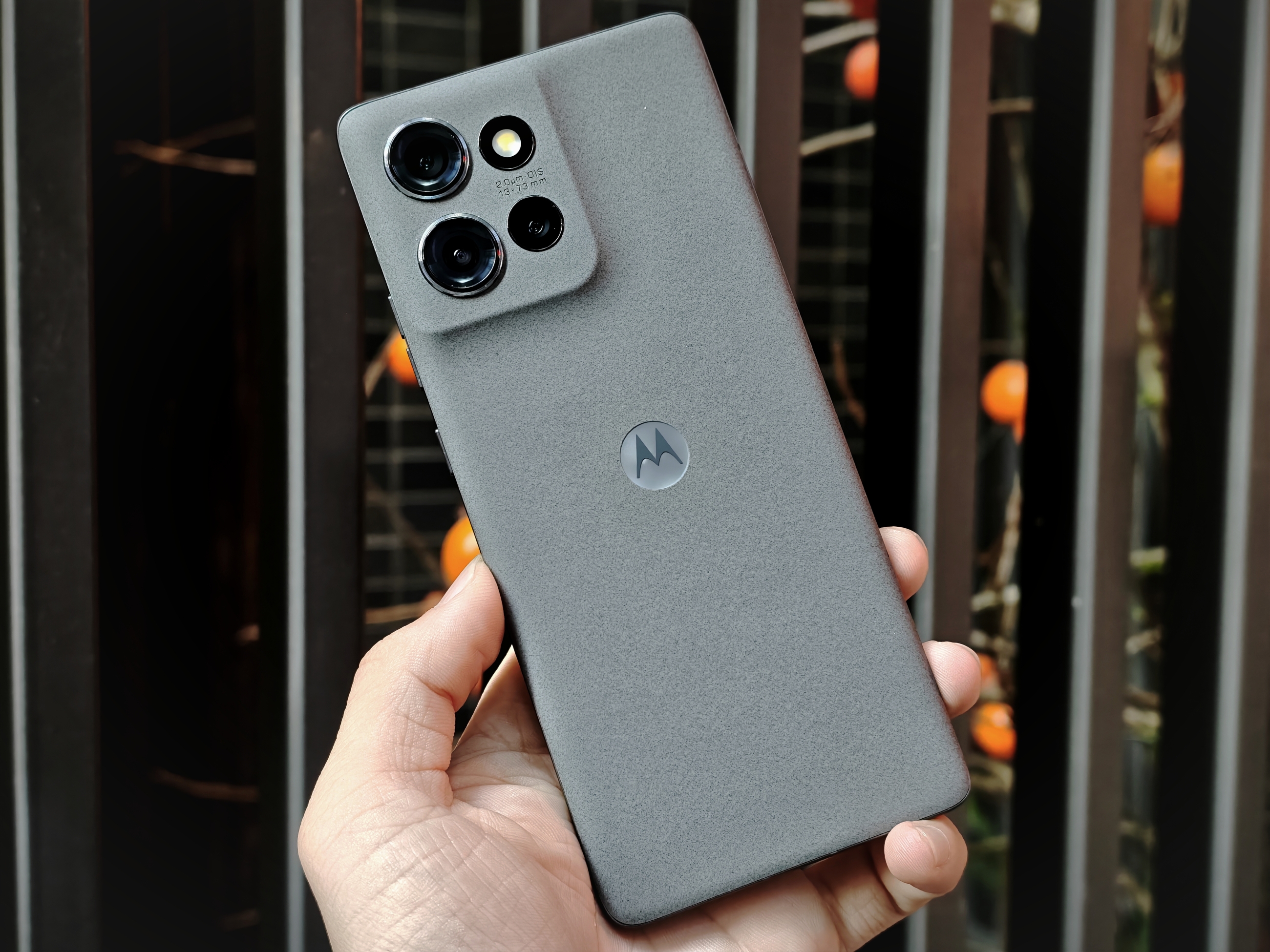 IMG_20260108_154422_1767862690678edit