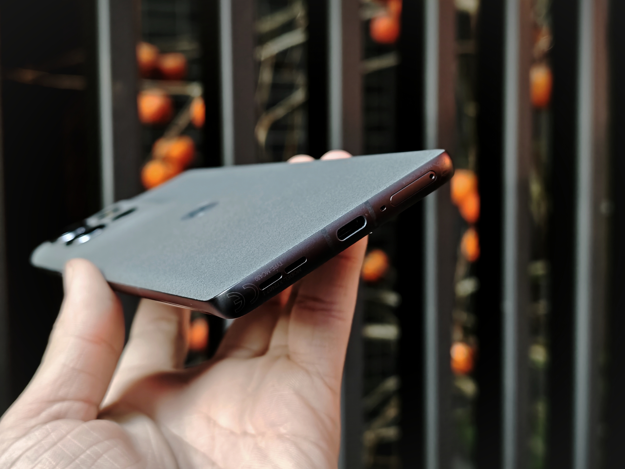 IMG_20260108_154446_1767862705484edit