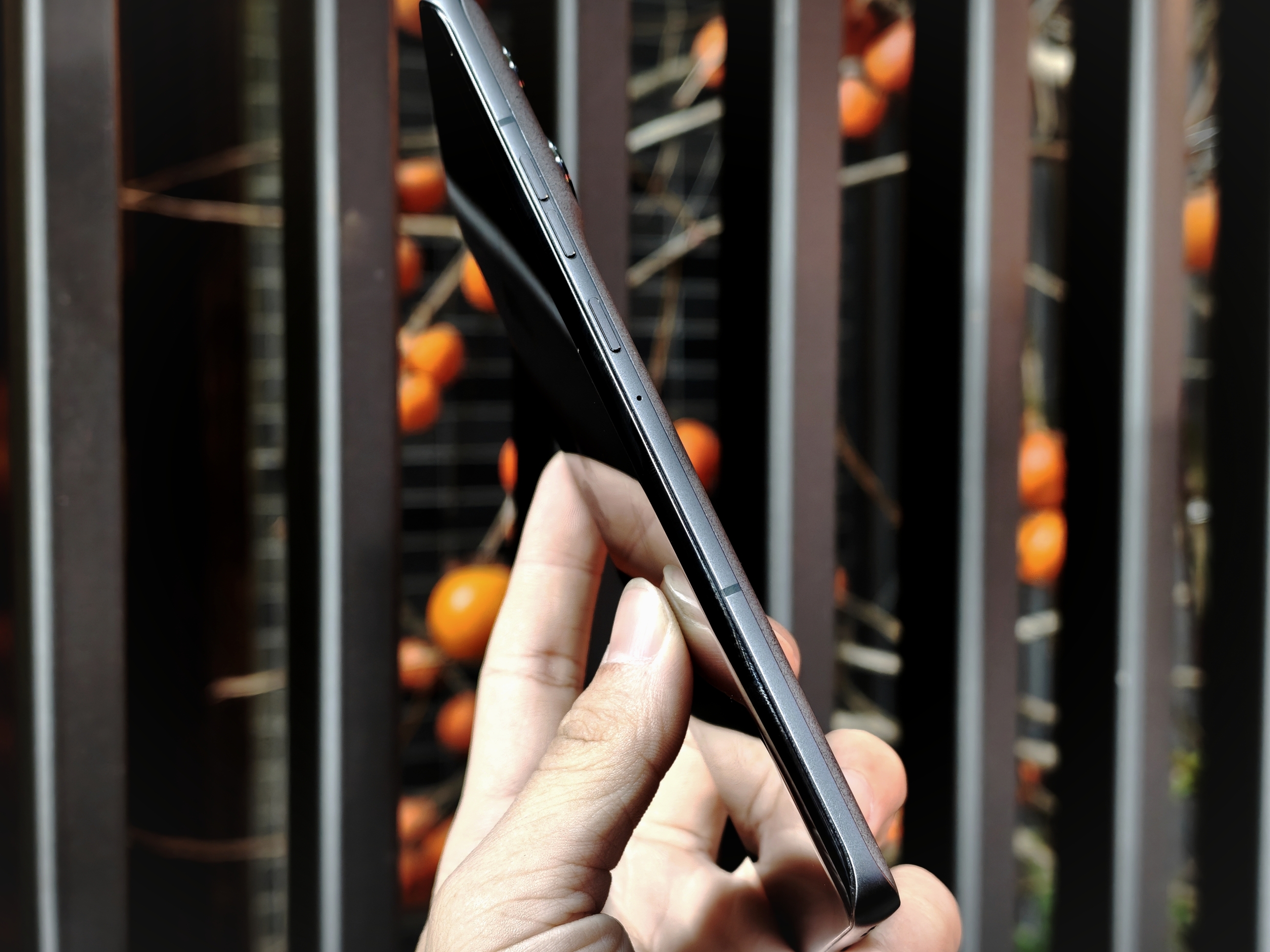 IMG_20260108_154518_1767862714808edit