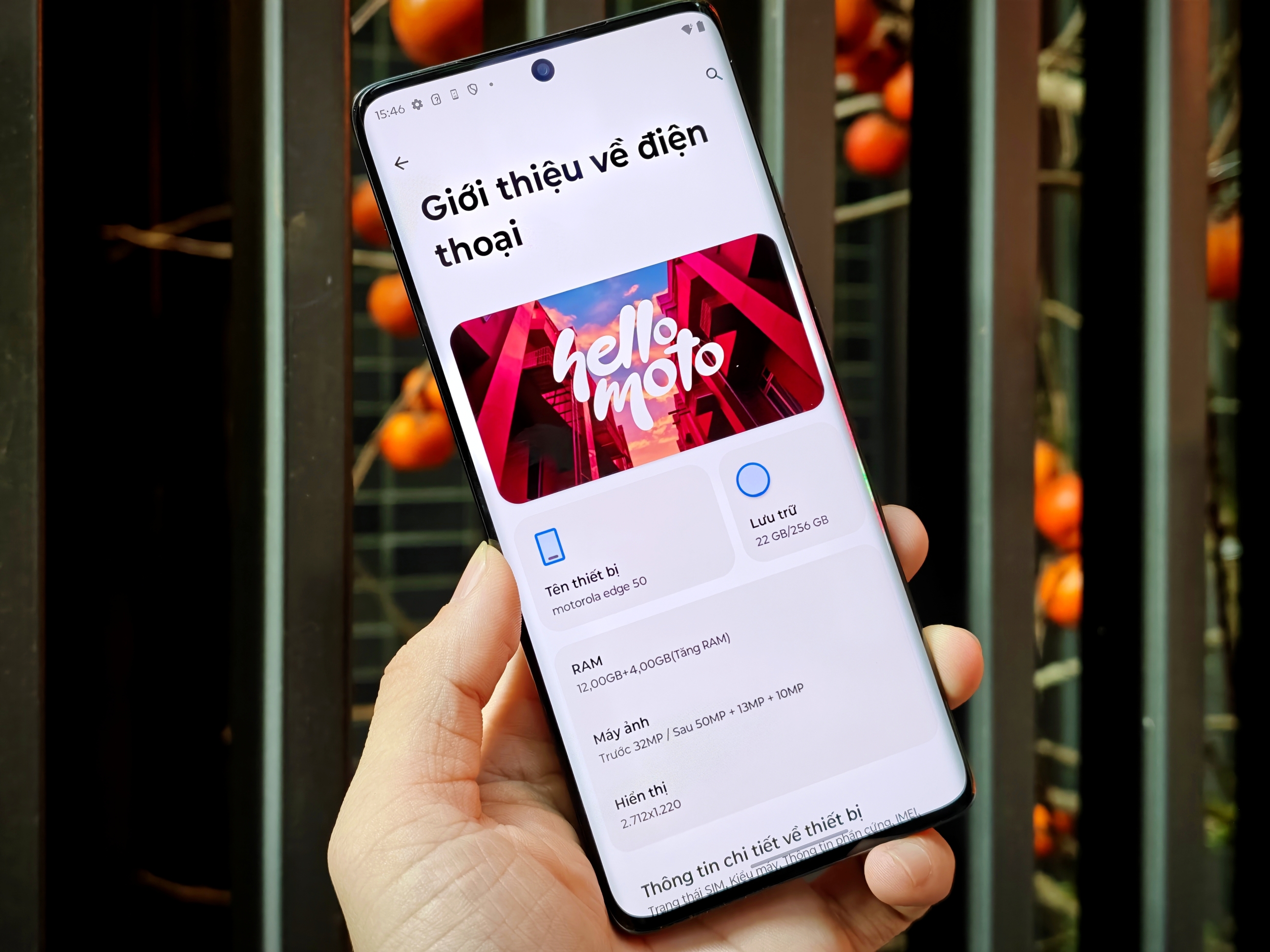 IMG_20260108_154602_1767862870979edit