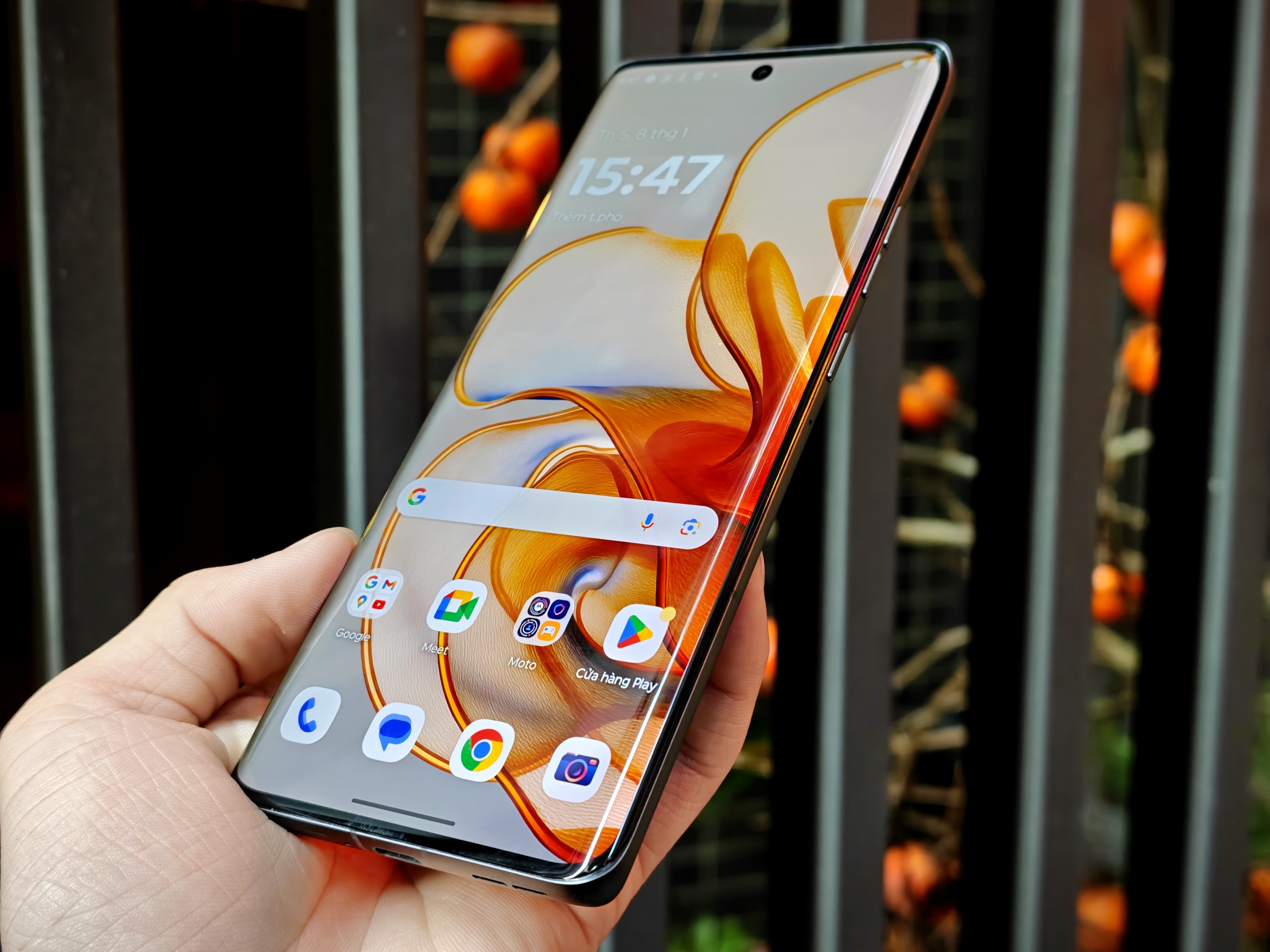 IMG_20260108_154714_1767862906661edit