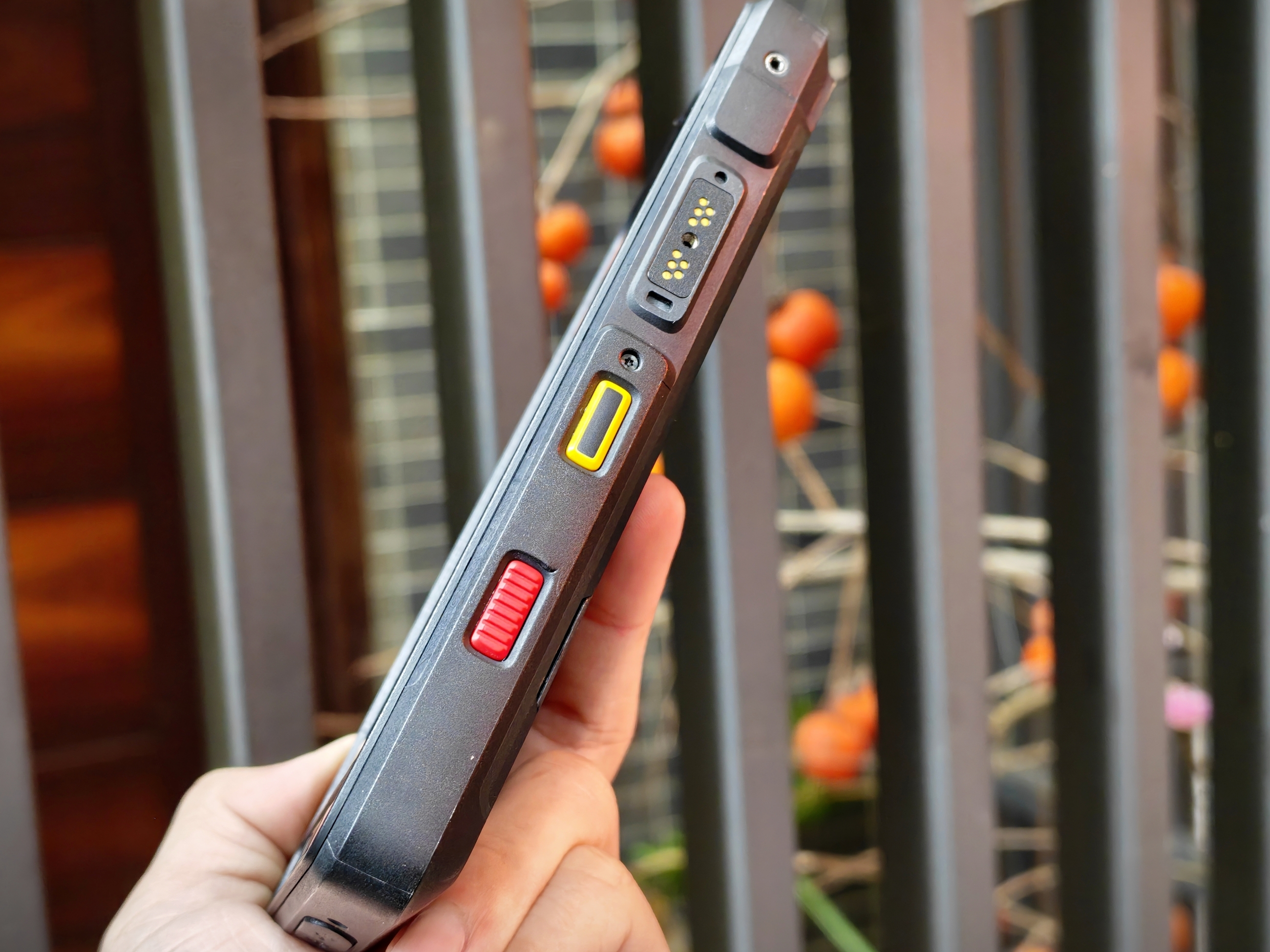 IMG_20260126_120249_1769404925148edit