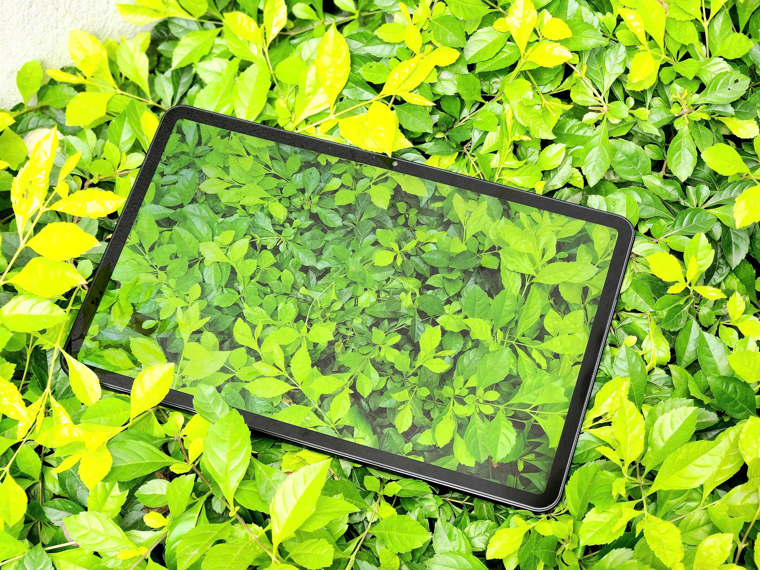 z7609477034375_d76fede139340d6b0abda5fce7912f5e