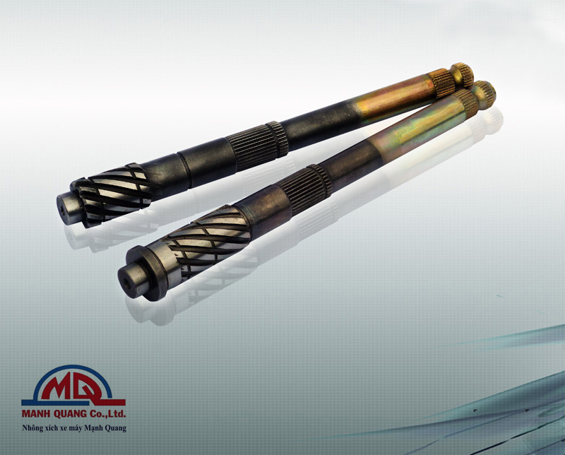 Trục khởi động ( Kick start spindle)