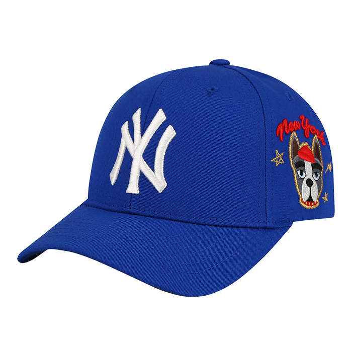 Non MLB NY 1