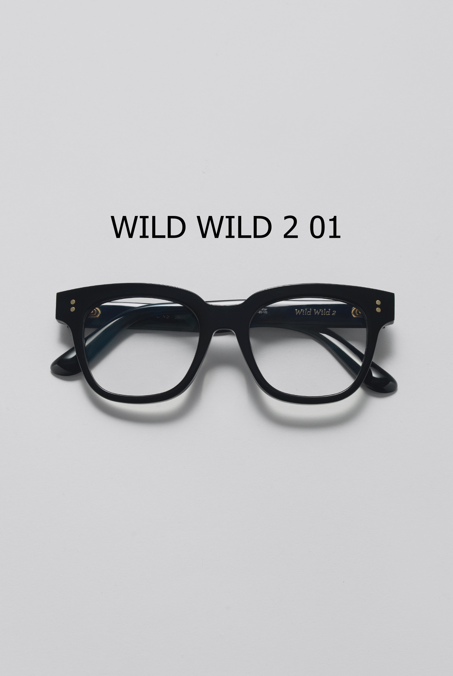 WILD WILD 2 01