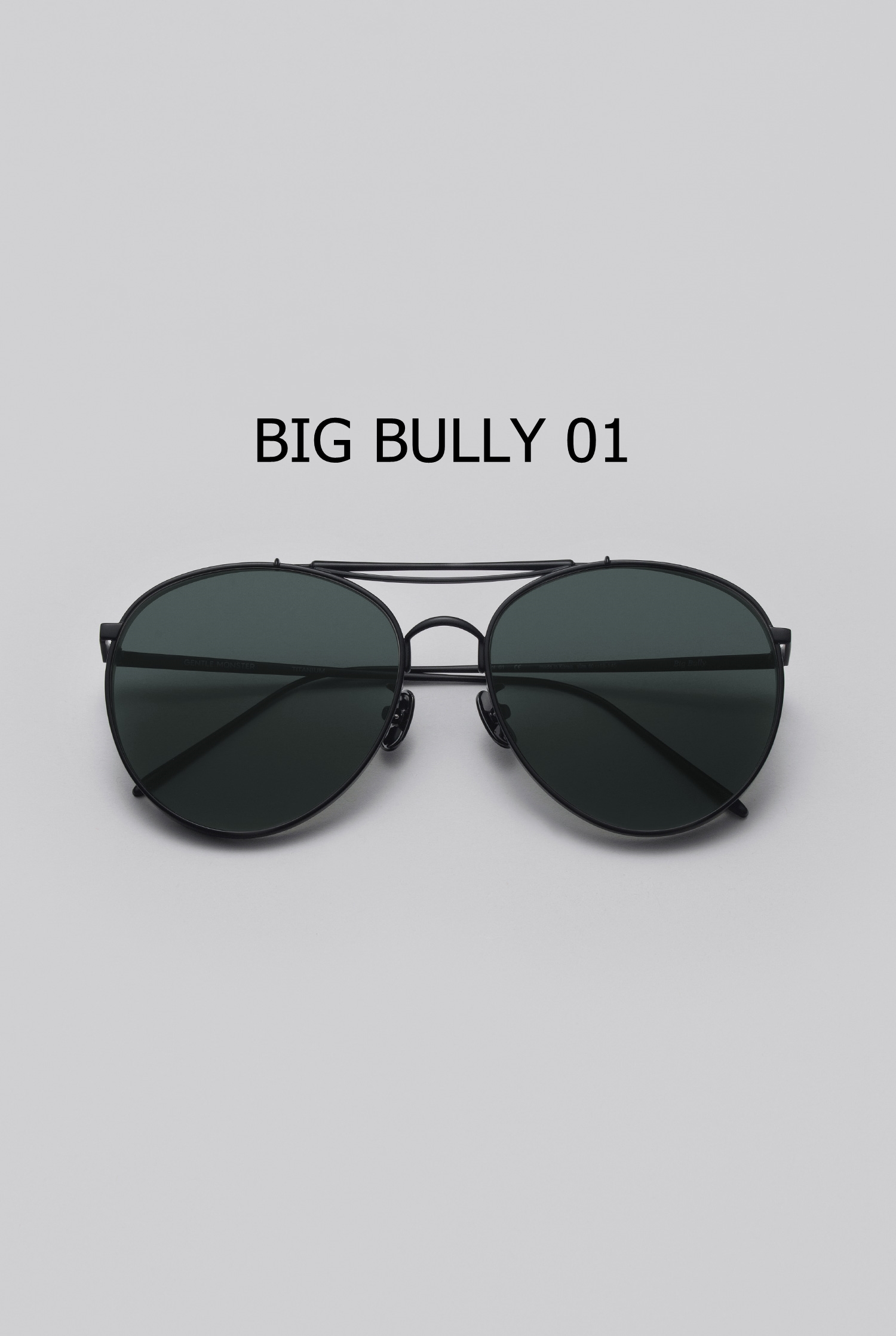 BIG BULLY 01