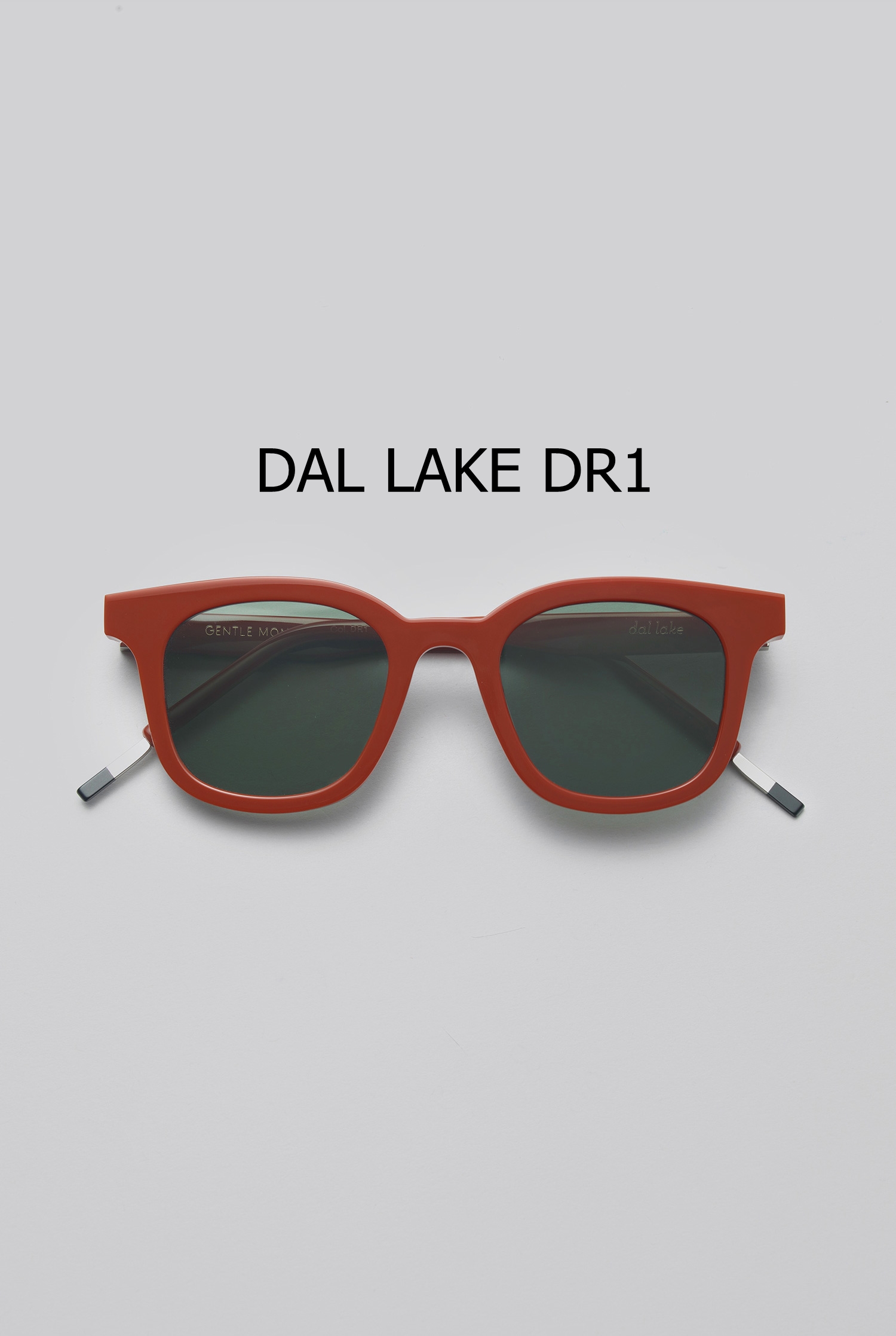 DAL LAKE DR1