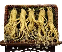 NHÂN SÂM TƯƠI HÀN QUỐC - 5 CỦ/ 1 KG
