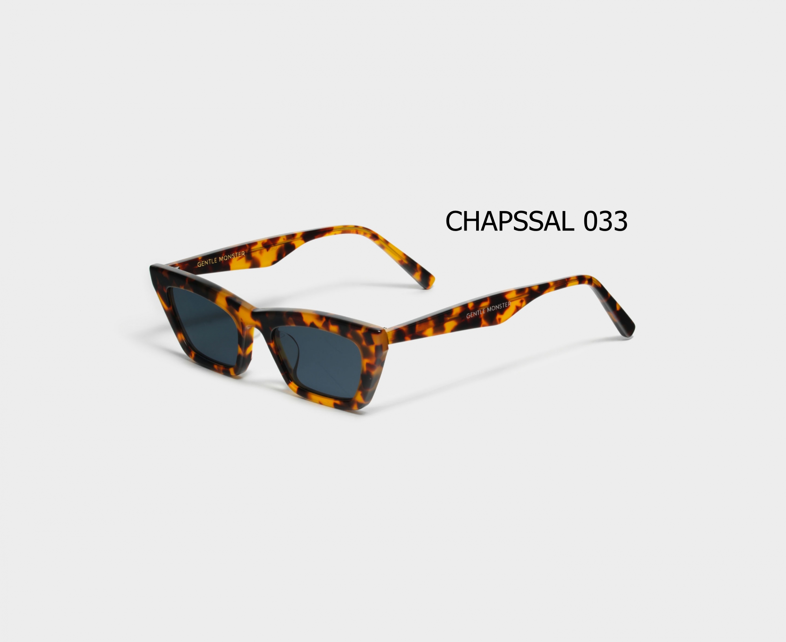 CHAPSSAL_033_02