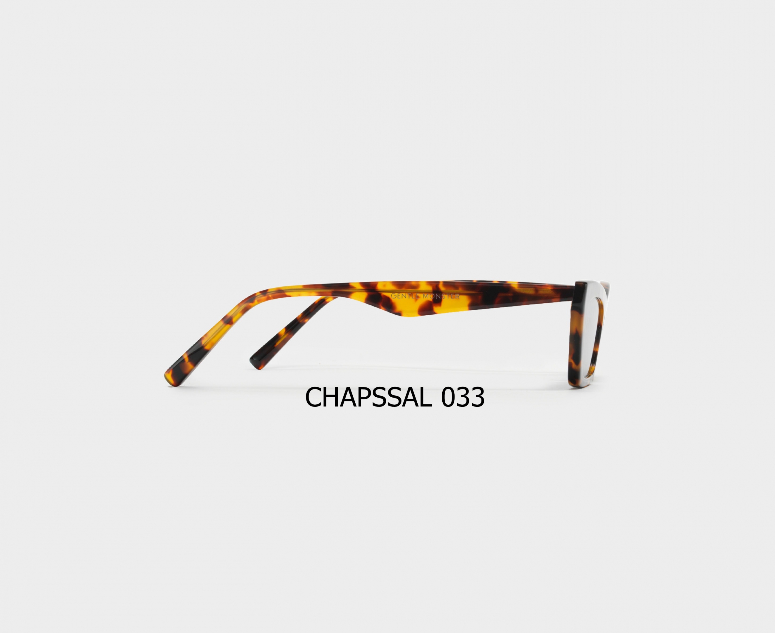 CHAPSSAL_033_3