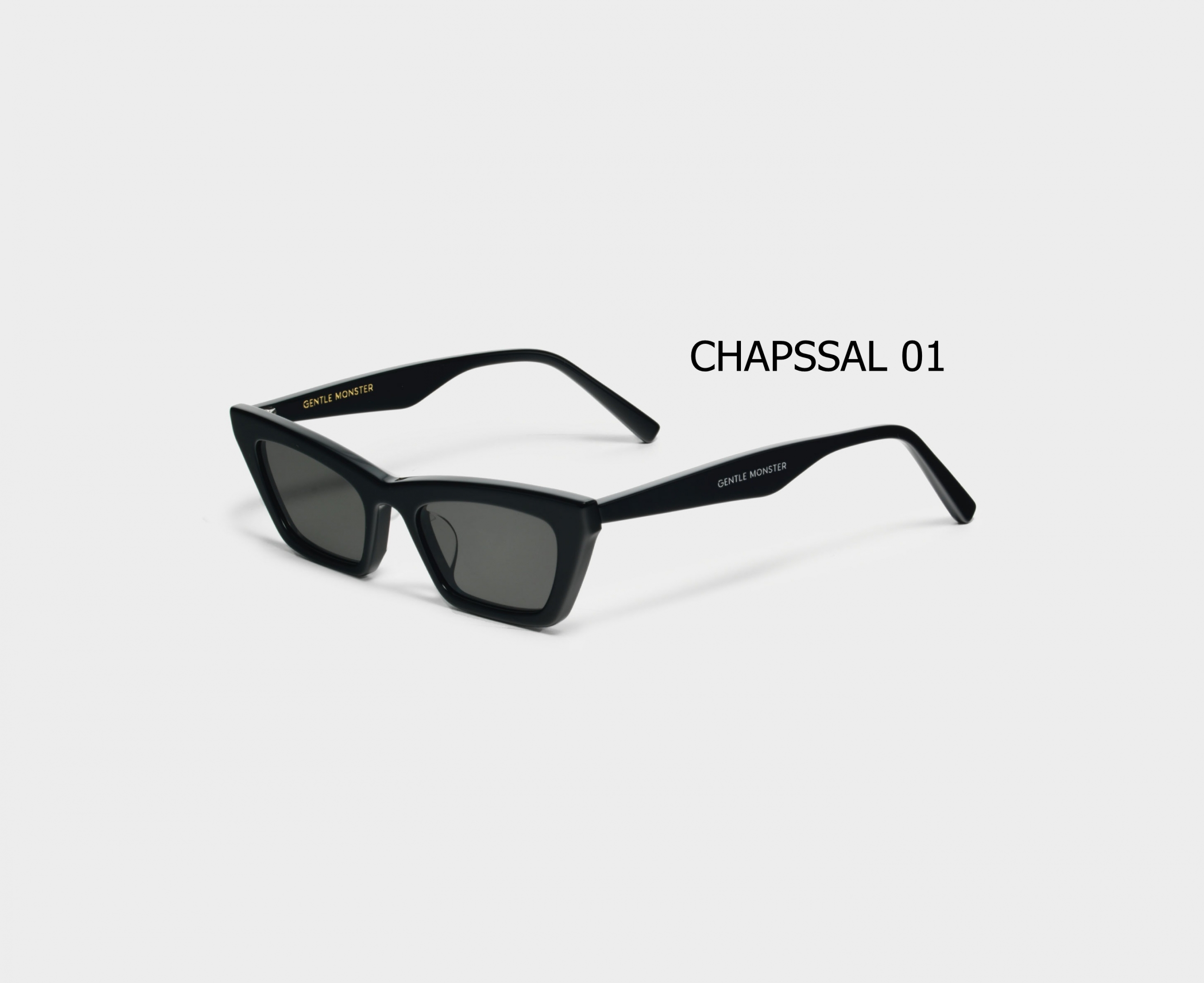 CHAPSSAL_01_02