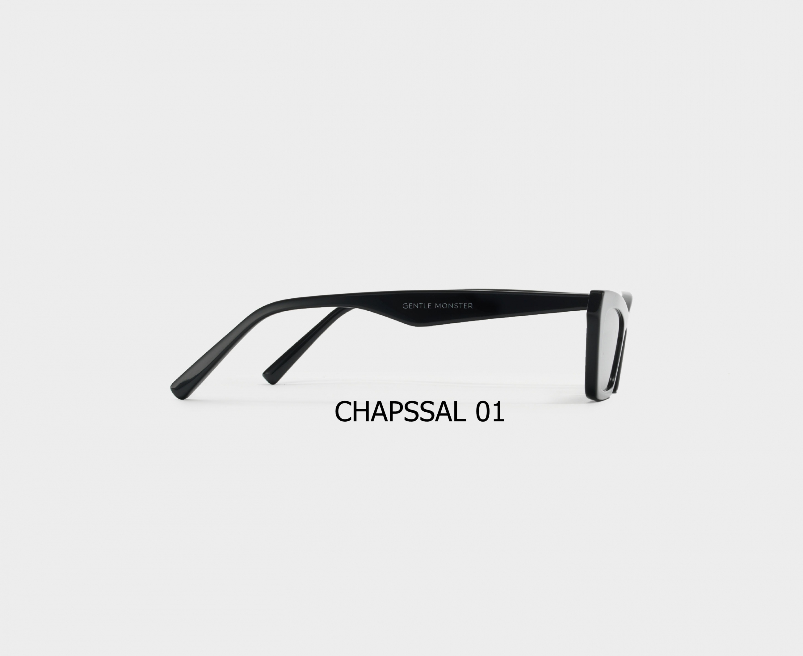 CHAPSSAL_01_31