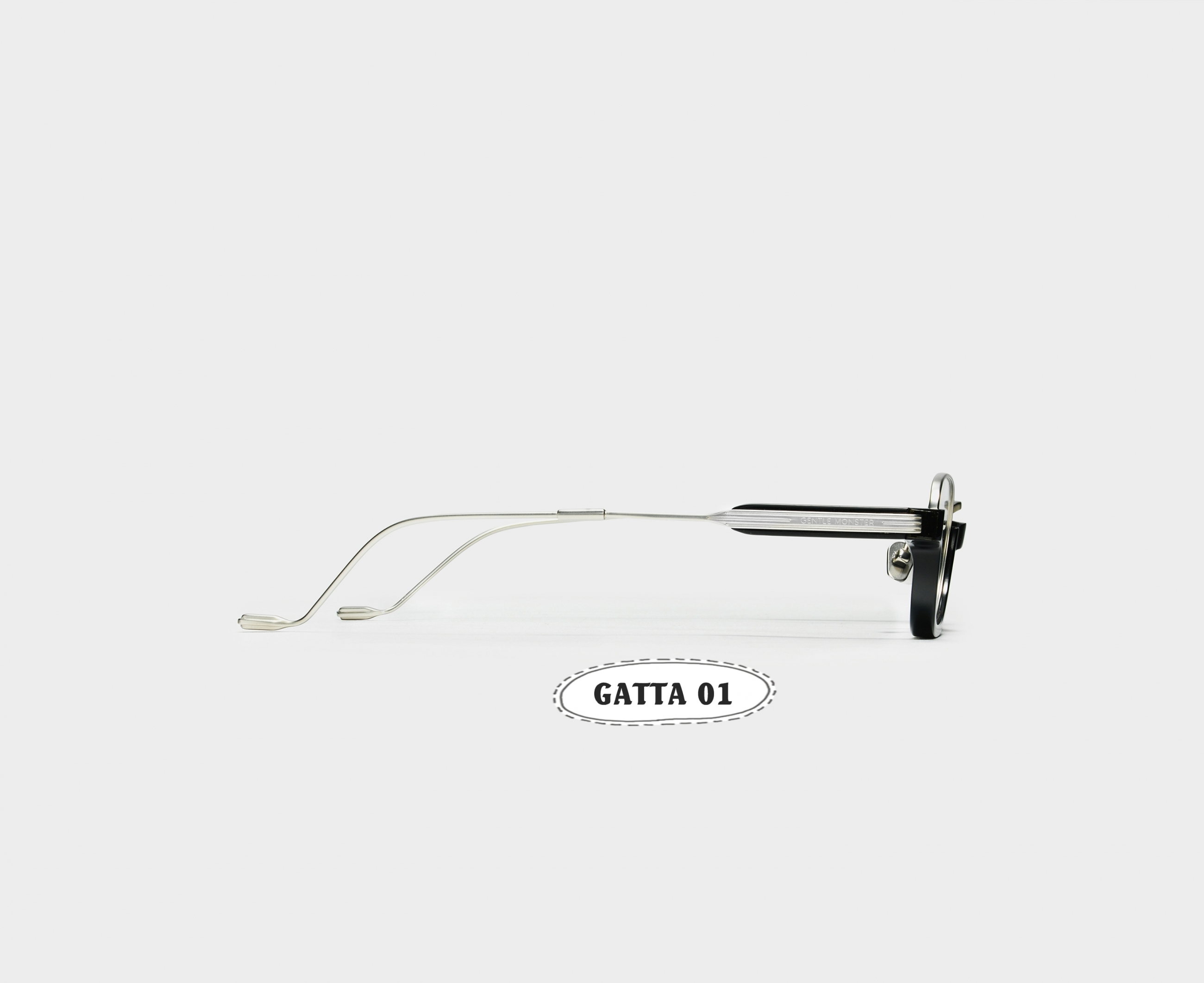 GATTA01003