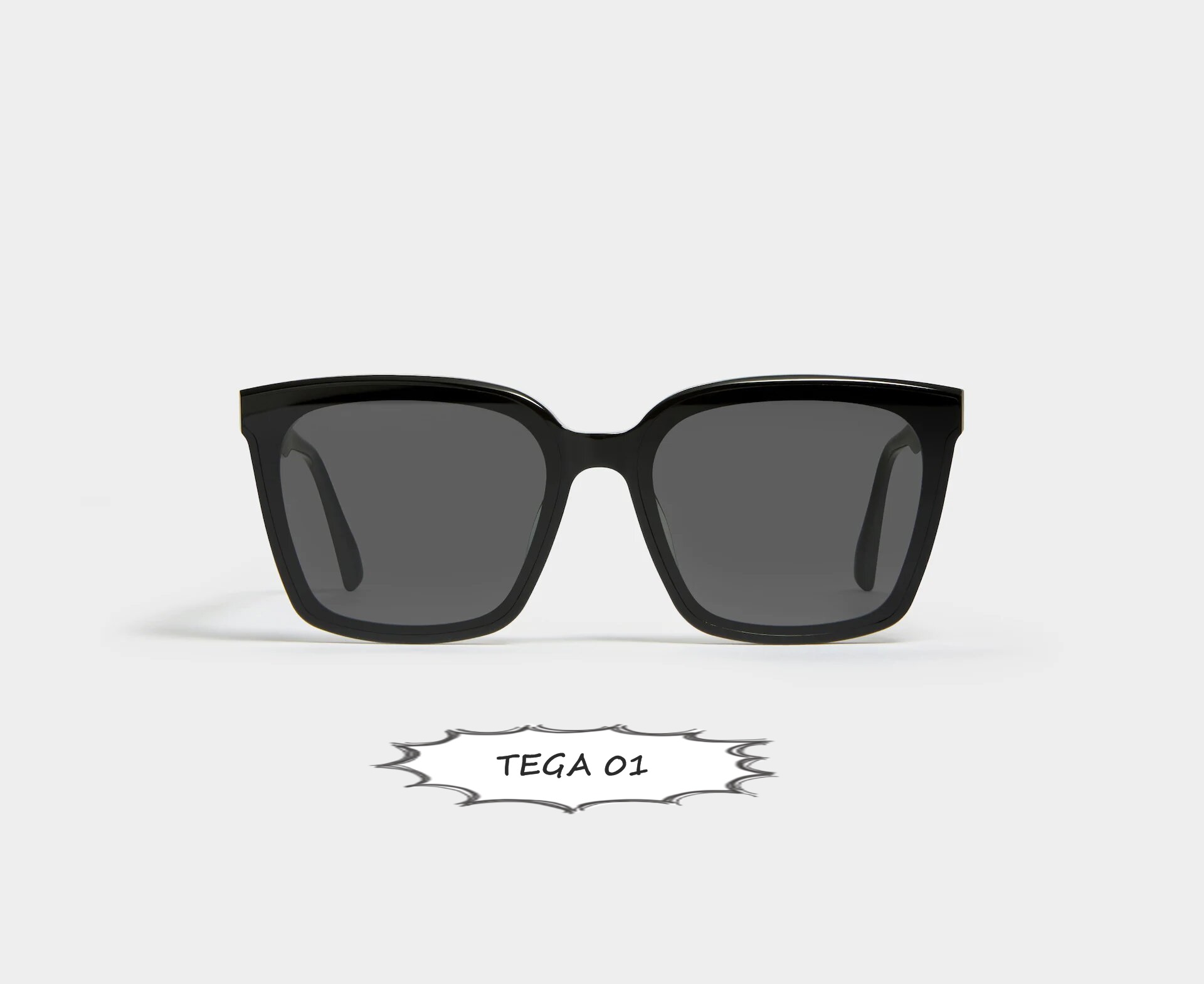 TEGA 01 - KÍNH GENTLE MONSTER CHÍNH HÃNG