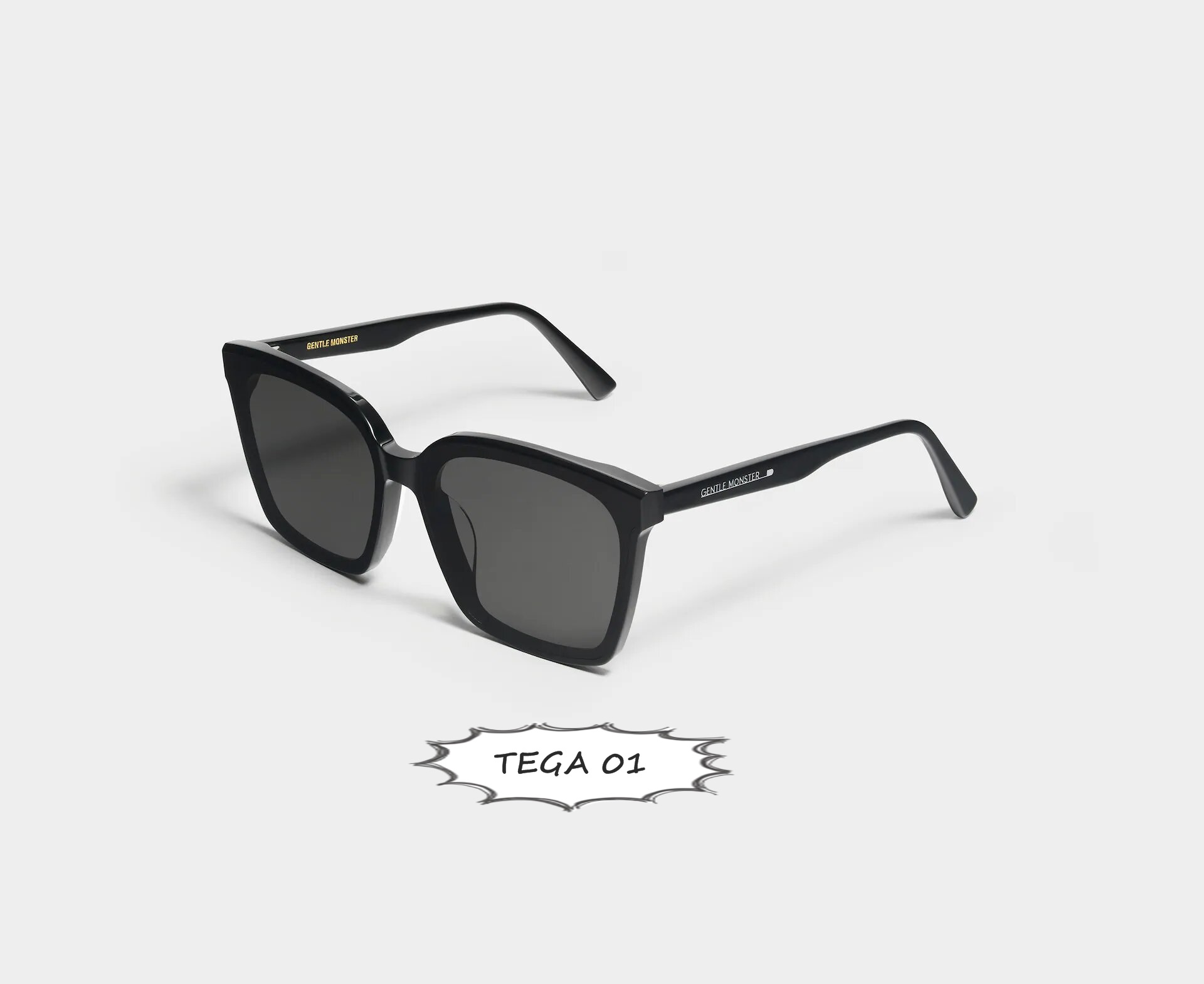 TEGA_01_2