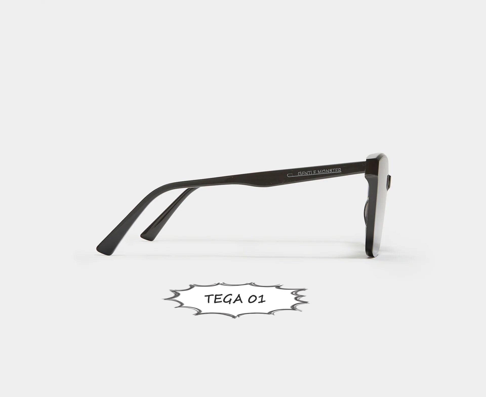 TEGA_01_3