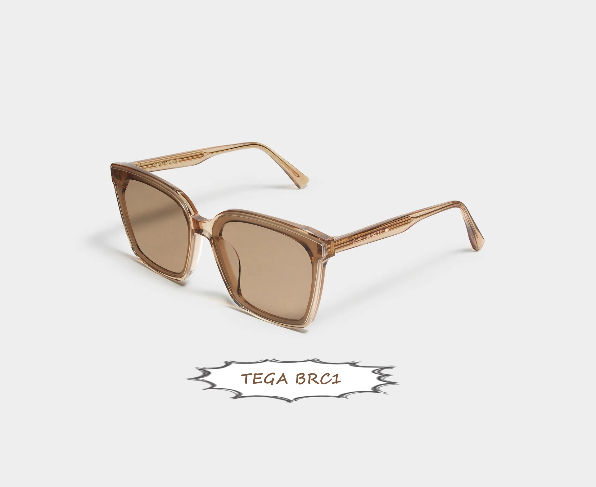 TEGA_BRC1_2
