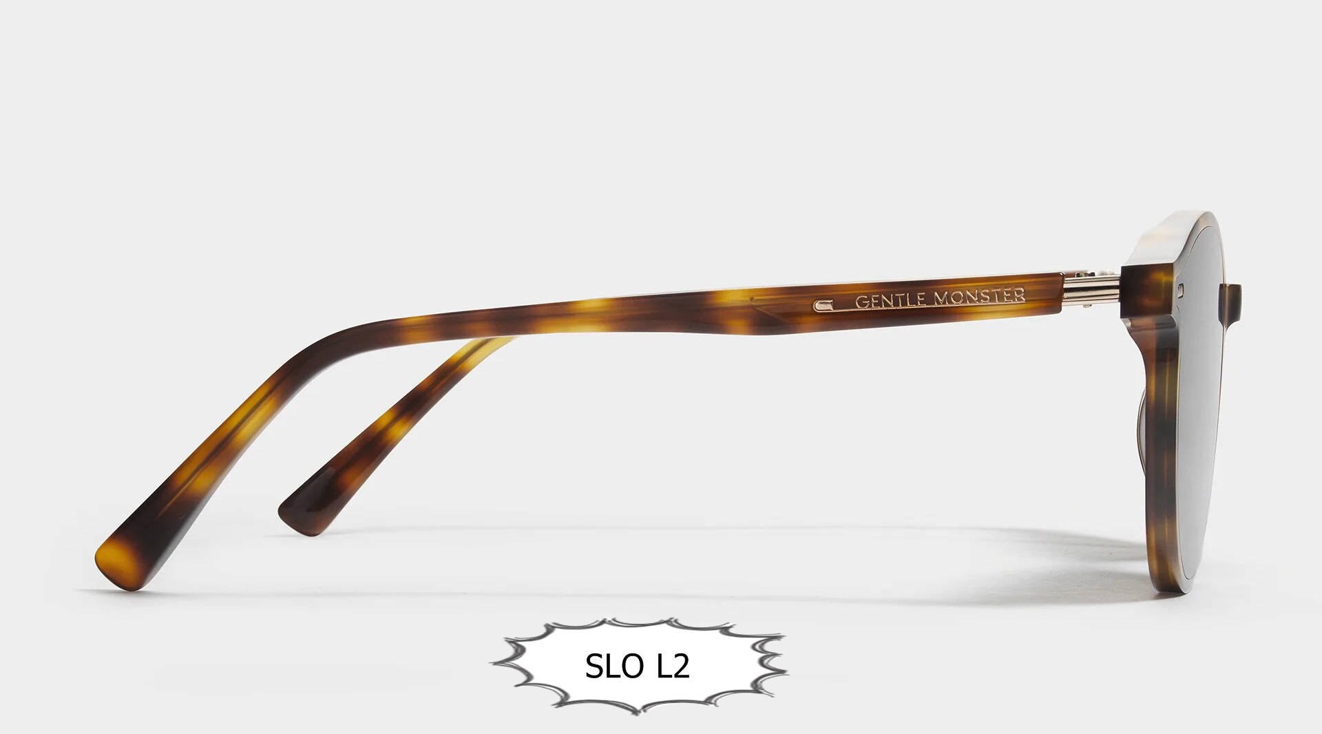 SLO_L2_3