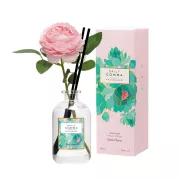 TINH DẦU THƠM PHÒNG DAILY COMMA SIGNATURE - BLACK CHERRY