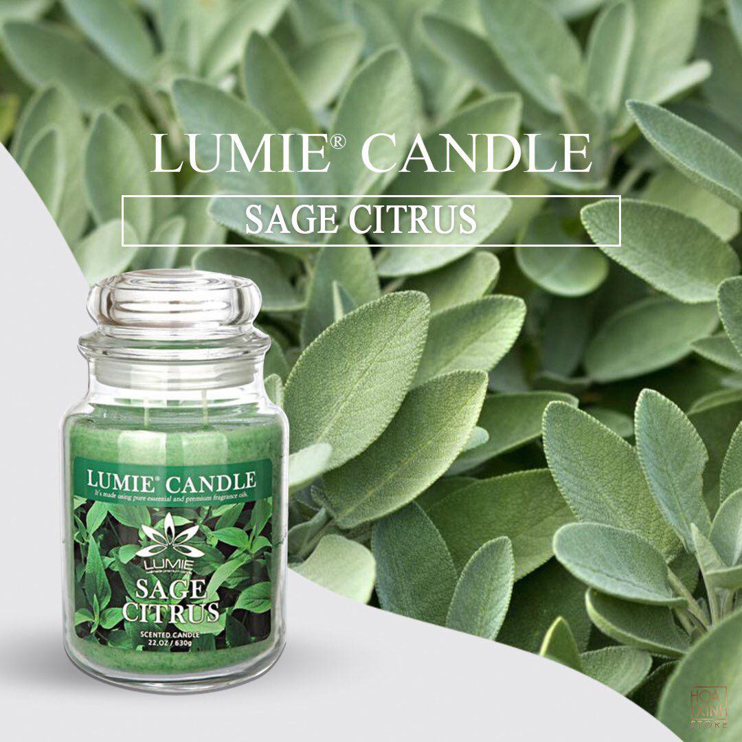 NẾN THƠM CAO CẤP HÀN QUỐC PREMIUM LUMIE LARGE JAR CANDLE - SAGE CITRUS