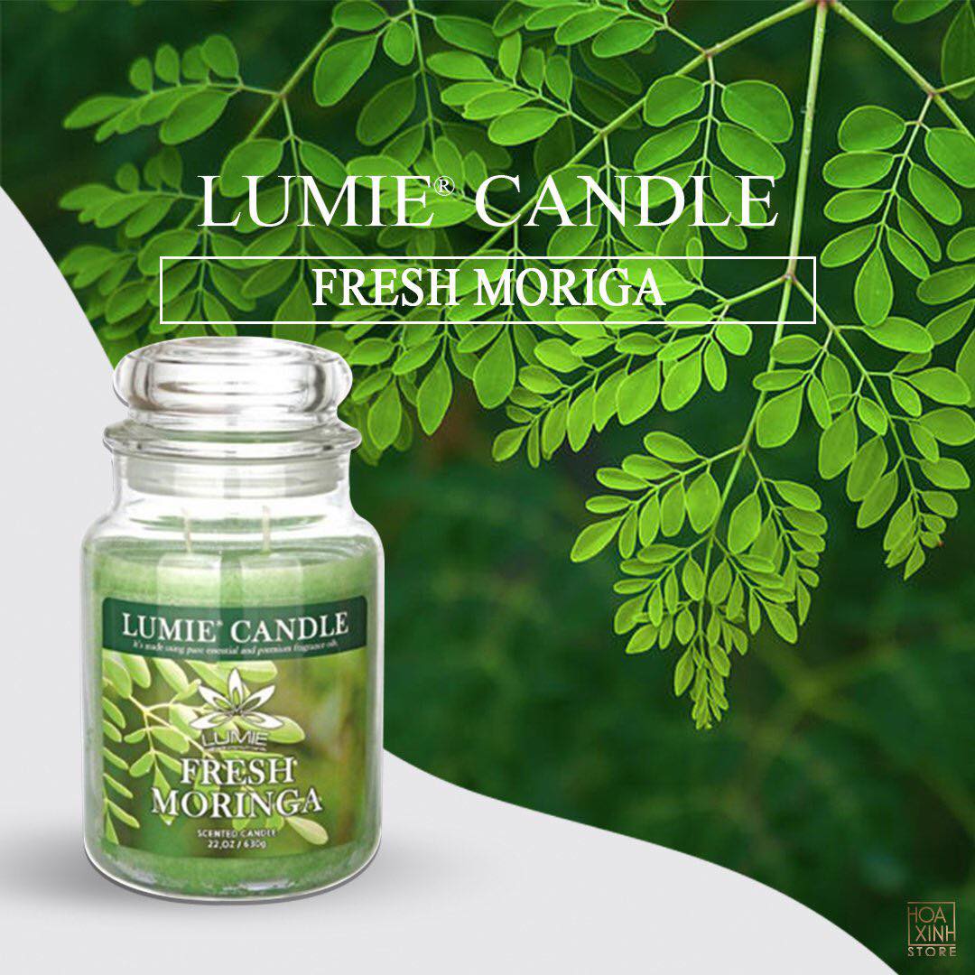 NẾN THƠM CAO CẤP HÀN QUỐC PREMIUM LUMIE LARGE JAR CANDLE - FRESH MORINGA