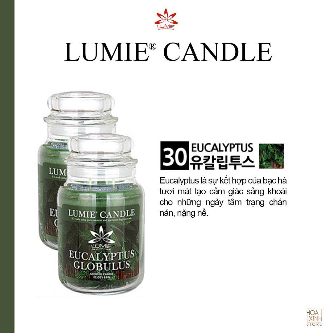 NẾN THƠM CAO CẤP HÀN QUỐC PREMIUM LUMIE LARGE JAR CANDLE - EUCALYPTUS
