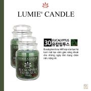 NẾN THƠM CAO CẤP HÀN QUỐC PREMIUM LUMIE LARGE JAR CANDLE - EUCALYPTUS