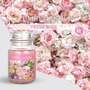 NẾN THƠM CAO CẤP HÀN QUỐC PREMIUM LUMIE LARGE JAR CANDLE -FRESH ROSE