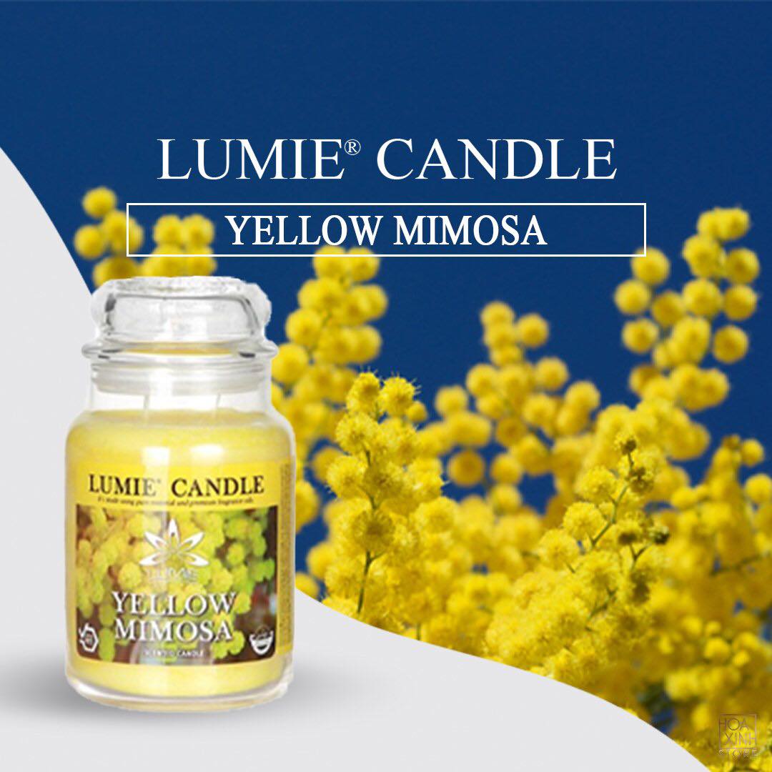 NẾN THƠM CAO CẤP HÀN QUỐC PREMIUM LUMIE LARGE JAR CANDLE - YELLOW MIMOSA