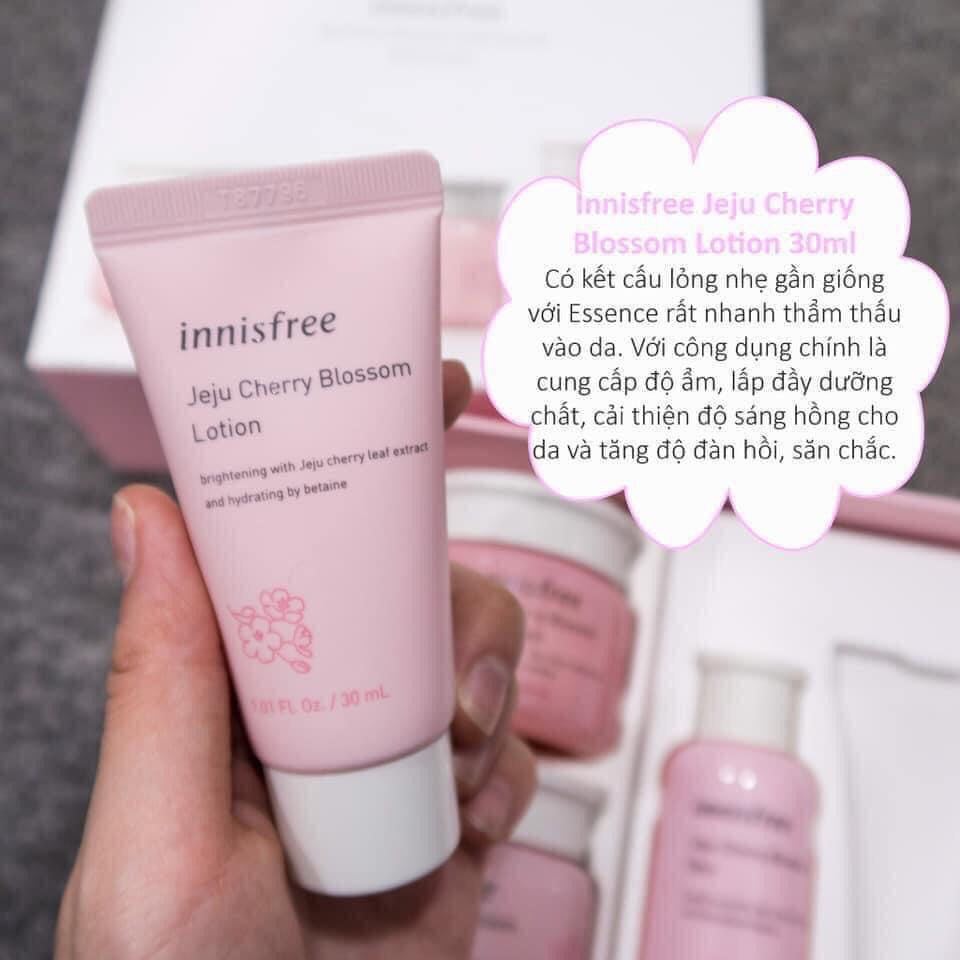 Innisfree Jeju Cherry Blossom Duo Kit_2