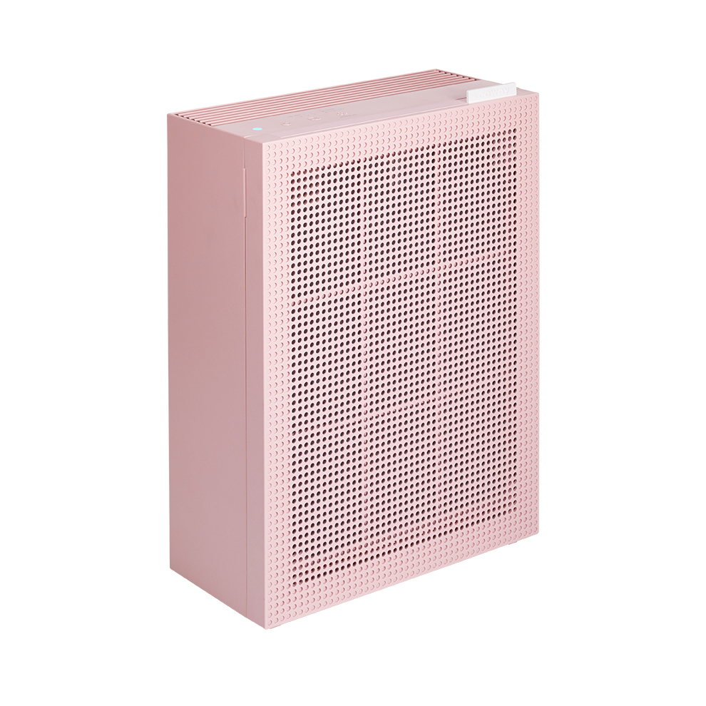 AP-1019C (P)_2