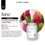 NẾN THƠM CAO CẤP HÀN QUỐC LUMIE CANDLE 42 MÙI HƯƠNG Copy