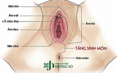 tái tạo tầng sinh môn tại Vinh