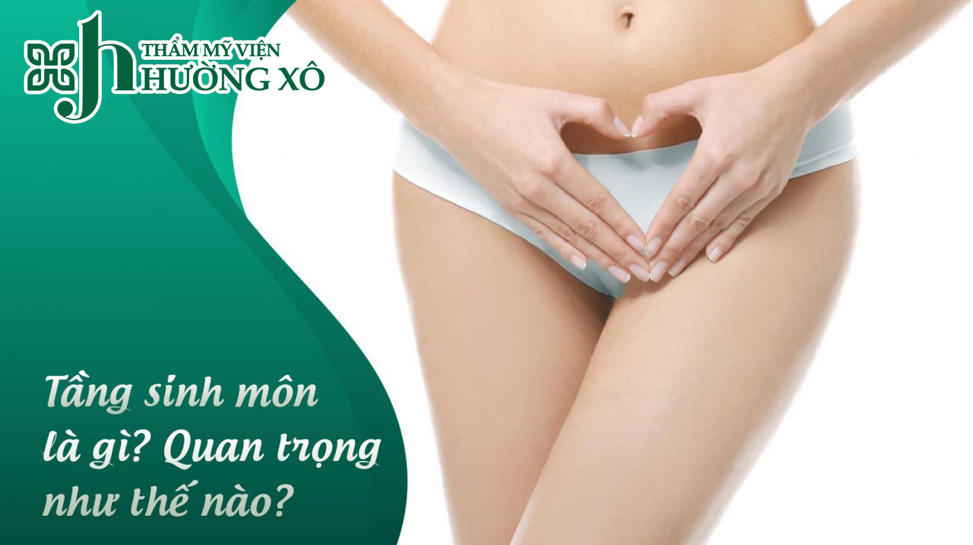 Khám Phá Dịch Vụ Tái Tạo Tầng Sinh Môn Tại Hà Tĩnh