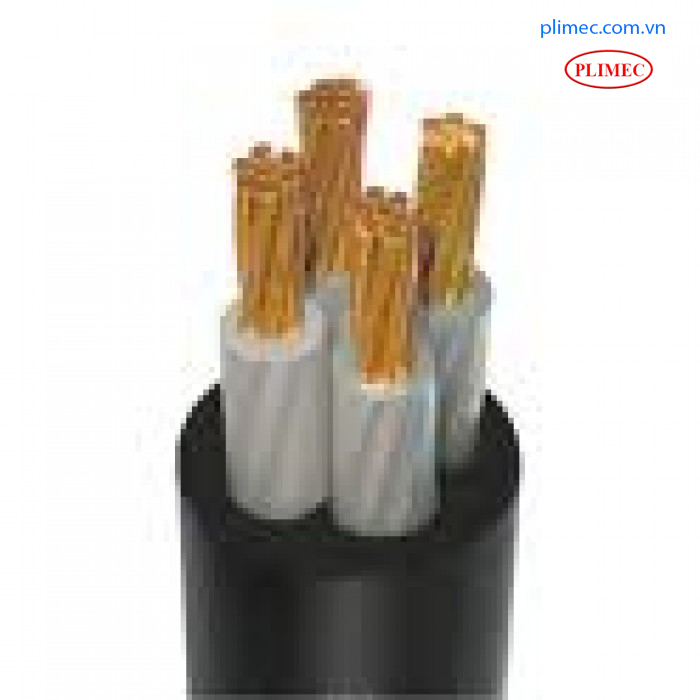 CEV4x2.5R2-0.6-X