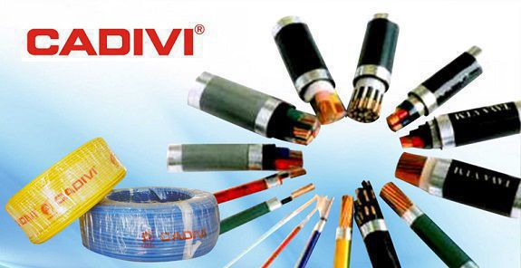cap-cvv-cadivi