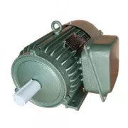 Mô tơ điện 1 pha 1,5 kW 1pha