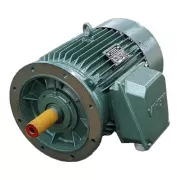 Mô tơ điện 45kW mặt bích HEM-VIHEM
