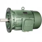 Mô tơ điện 18.5kW Mặt Bích HEM-VIHEM