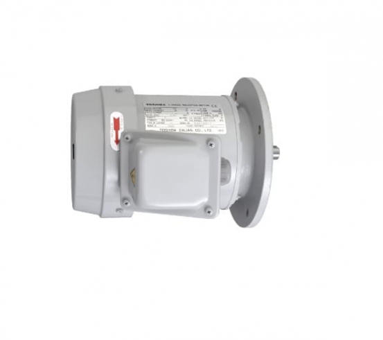 dong-co-dien-toshiba-mat-bich-0.37kw-45kw-2