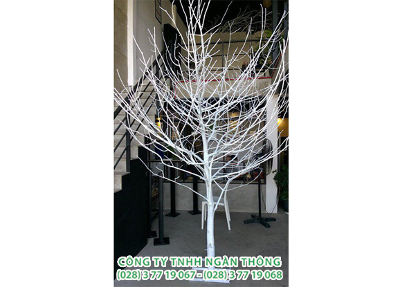 CÂY KHÔ SƠN TRẮNG 3.5M