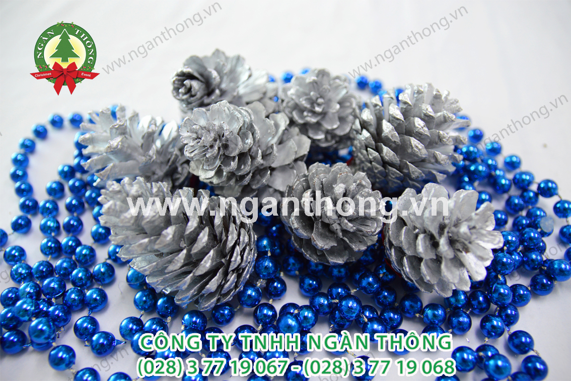 TRÁI THÔNG NHŨ BẠC