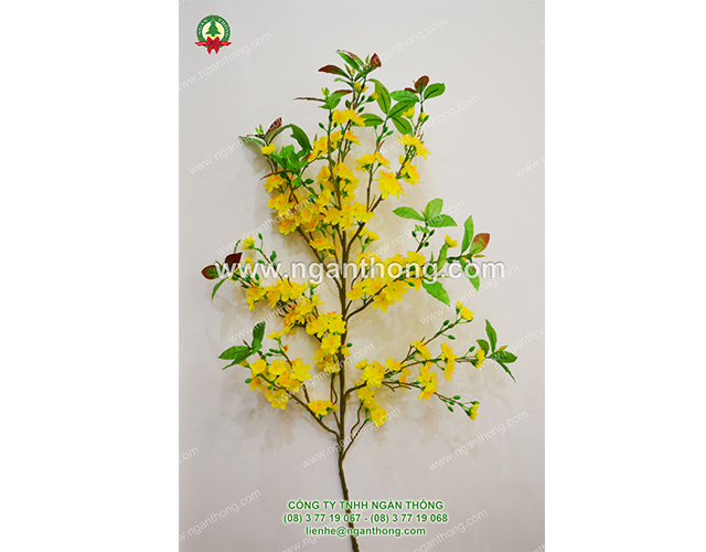 CÀNH MAI BONSAI SỐ 6