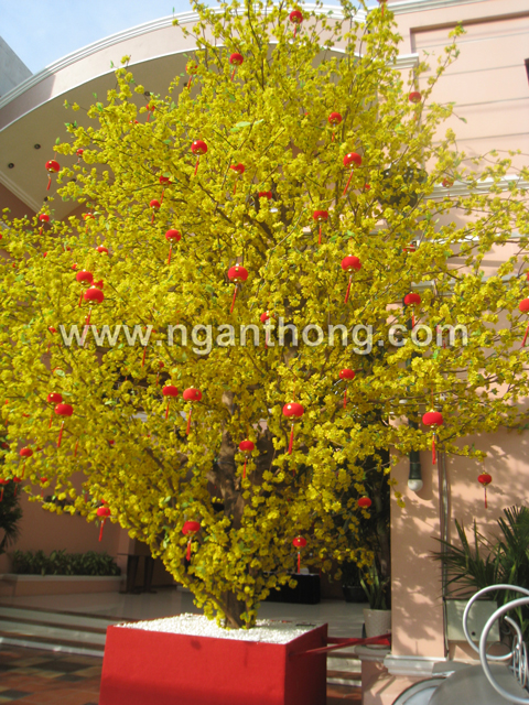 CÂY MAI HOA GIẢ THÂN GỖ MS03