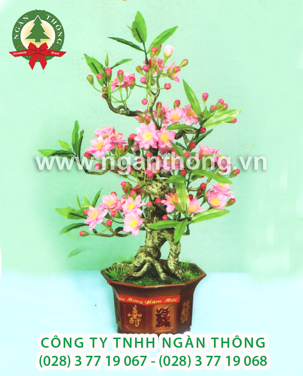 CÂY ĐÀO BONSAI DN (48CM)