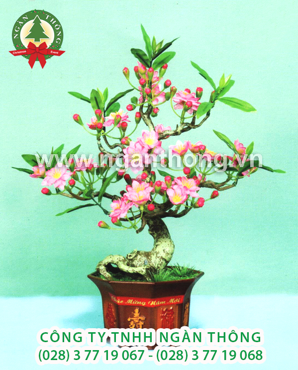 CÂY ĐÀO BONSAI DN5 (45CM)